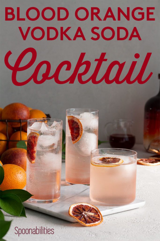 Blood Orange Vodka Soda Cocktail Happy Hour Drink Recipe