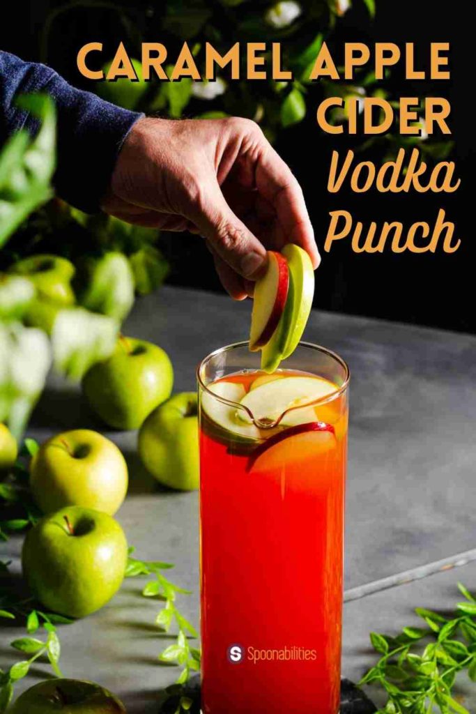 https://www.spoonabilities.com/wp-content/uploads/2022/01/Caramel-Apple-Cider-Vodka-Punch-Spoonabilities-5-683x1024.jpg